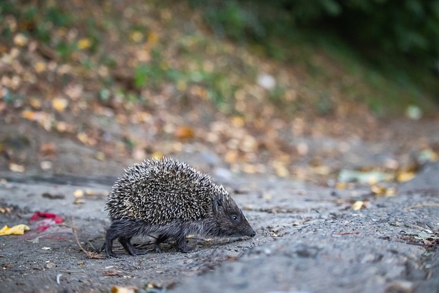 能以最佳狀 能以最佳狀