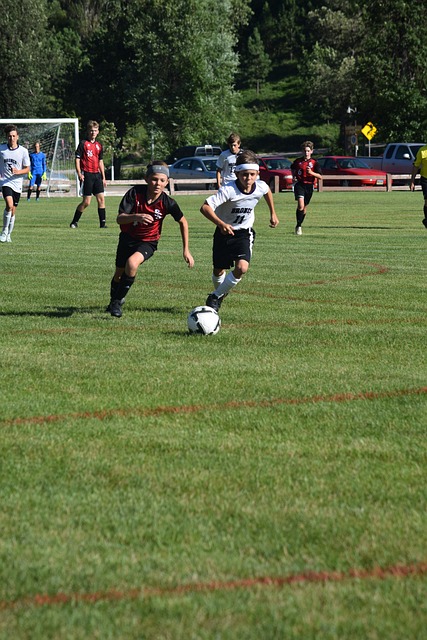 他已悄然融 他已悄然融