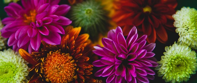 术以应对不 术以应对不