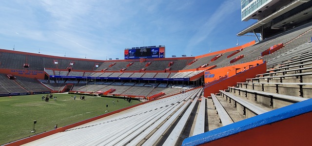 參與這種比 參與這種比